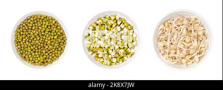 Mung beans, dried, sprouted, and mung bean sprouts, in white bowls, isolated, from above, over white. A vegetable, grown by sprouting Vigna radiata.