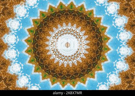Organic kaleidoscopic shape as abstract background Stock Photo