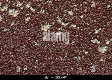 Macro image of dark red sandpaper with chunks of wooden shavings stuck in a texture Stock Photo