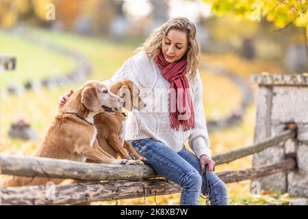 A good looking young woman is sitting in the park with her dogs. Stock Photo