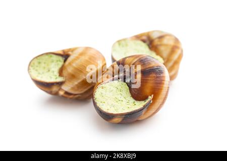 Snails with parsley butter, Bourgogne Escargot Snails  isolated on the white background. Delikatese food. Stock Photo