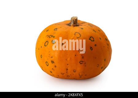 Orange pumpkin isolated on white, clipping path Stock Photo