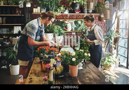 Our workplace is our happy place. two young florists watering flowers and working together inside their plant nursery. Stock Photo