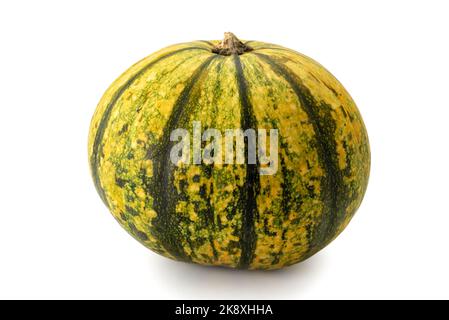 Round yellow pumpkin with green streaks , ornamental isolated on white, clipping path Stock Photo