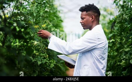 I need to do more research regarding this plant. a handsome young botanist using a digital tablet while working outdoors in nature. Stock Photo