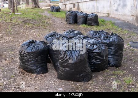 plastic bag with garbage hanging on tree in forest near the river.  pollution ecosystem problem , ecology environment trash Stock Photo - Alamy