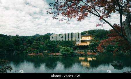 A scenic view of the Kinkakuji (Golden) Castle during autumn in Kyoto, Japan Stock Photo