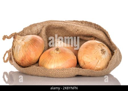 Four organic juicy unpeeled onions in a jute bag, close-up, on a white background. Stock Photo