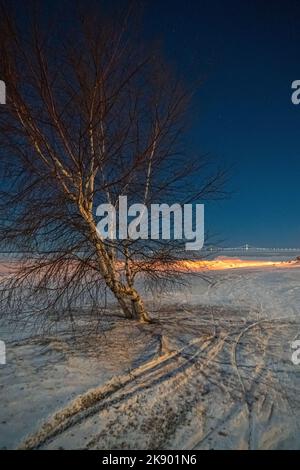 Lonely tree in a field at night under the Milky Way in Vyazma, Russia ...