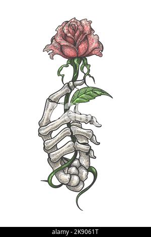 Skeleton hand holding rose flower in vintage monochrome style isolated  vector illustration Stock Vector Image  Art  Alamy