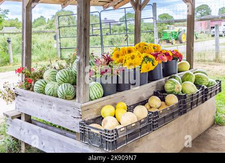 Farm stand in Bridgehampton, NY Stock Photo