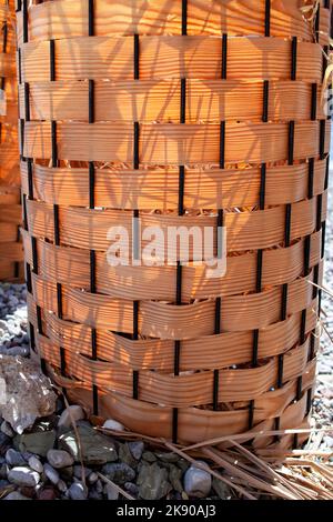 Flower pod decorated by wood veneer. A full frame brown wood veneer surface. Wood veneer texture backlight close up Stock Photo