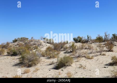 Aralkum Desert, once part of the Aral Sea, Moynaq, Karakalpakstan Autonomous Republic, Uzbekistan, Central Asia Stock Photo