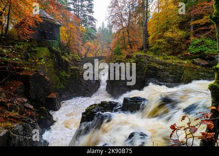 Dunkeld, Scotland, UK. 25th October 2022. Views of spectacular autumn colours in woodland beside the River Braan at Black Linn Falls at The Hermitage outside Dunkeld in Perthshire.  Pic; Ossians Hall stands above the Falls of Braan. Iain Masterton/Alamy Live News Stock Photo