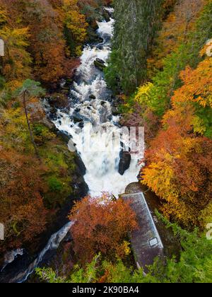 Dunkeld, Scotland, UK. 25th October 2022. Views of spectacular autumn colours in woodland beside the River Braan at Black Linn Falls at The Hermitage outside Dunkeld in Perthshire . Pic; Ossians Hall stands above the Falls of Braan. Iain Masterton/Alamy Live News Stock Photo