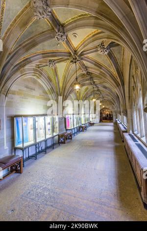 NEW HAVEN, USA - OCT 28, 2015: Interior of Yale University library in New Haven. Stock Photo