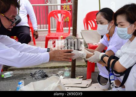 Bangkok, Thailand. 22nd Oct, 2022. Volunteers, participated in the tradition of exhuming the bodies of the deceased, unclaimed rising from the grave to clean human skeletons and collect them and prepare them for a merit-making ceremony according to religious belief of Thai people of Chinese descent At Teochew Chinese Cemetery (Wat Don Cemetery), Sathorn District, Bangkok. (Photo by Teera Noisakran/Pacific Press/Sipa USA) Credit: Sipa USA/Alamy Live News Stock Photo