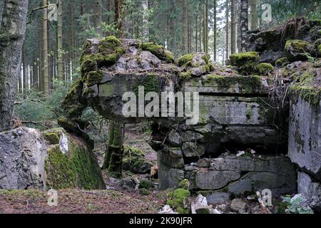 Remains of a bunker in the Hurtgen Forest in Germany Stock Photo