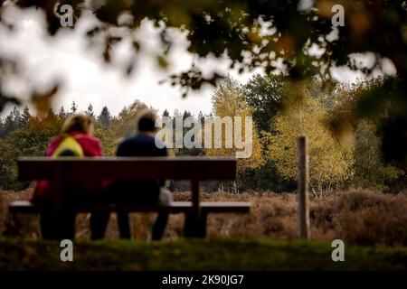 2022-10-25 15:00:40 LOW VUURSCHE - Autumn in the woods near Lage Vuursche. Autumn lures hikers outside during the autumn holidays. ANP ROBIN VAN LONKHUIJSEN netherlands out - belgium out Stock Photo