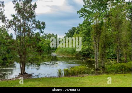 Eco lake at the Singapore Botanic Gardens Stock Photo