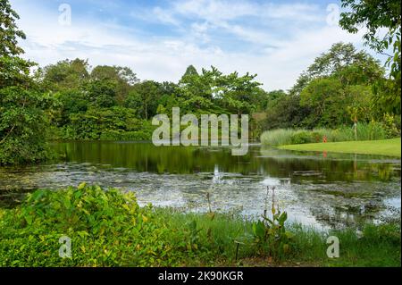 Eco lake at the Singapore Botanic Gardens Stock Photo