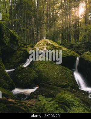 A long exposure shot of St. Wolfgang Waterfall running through rocks in a forest Stock Photo