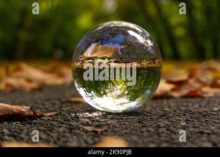 A closeup shot of a clear reflective glass ball on a path reflecting a beautiful forest Stock Photo