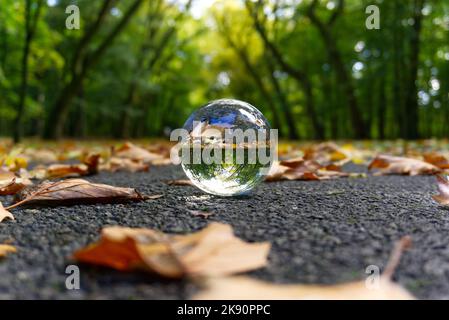 A closeup shot of a clear reflective glass ball on a path reflecting a beautiful forest Stock Photo