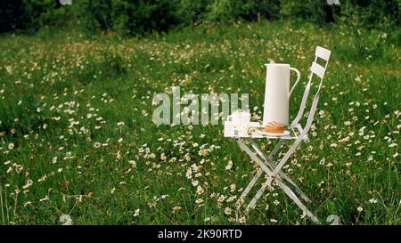 Among the chamomile lawn stands a white chair. On it there is a composition of a white jug, a white cup with tea, a bread and a bouquet of chamomiles. High quality photo Stock Photo