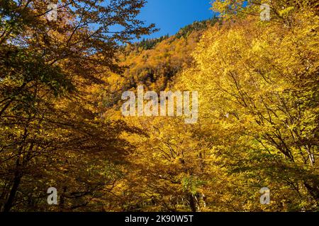 View through a frame of leaves towards the rocky summit of Smugglers Notch in the fall near Stowe, Vermont Stock Photo