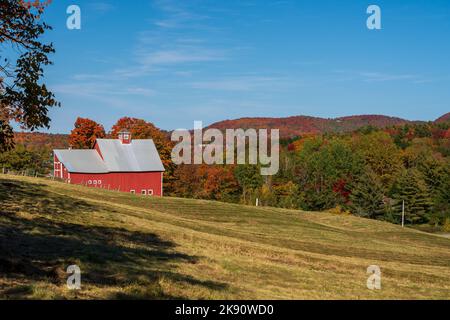 Grandview farm barn by the side of the track near Stowe in Vermont during the autumn color season Stock Photo