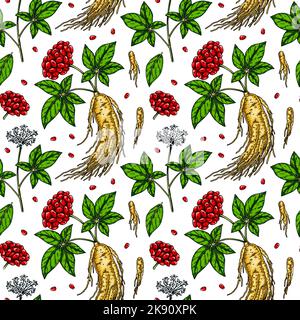 Colorful Hand drawn ginseng seamless pattern. Vector illustration in sketch style. Medicinal plant background. Botany design Stock Vector