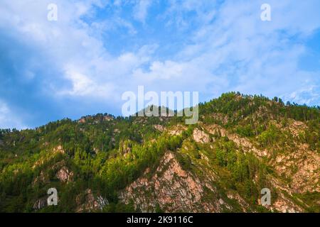 Trees grow on rocky Siberian mountains under cloudy sky, landscape photo of Altai Krai, Russia Stock Photo
