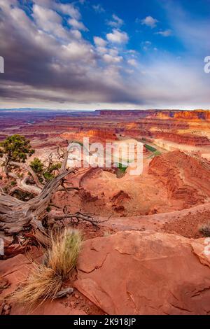 The Goose Neck of the Colorado River and Canyonlands National Park viewed from Dead Horse Point State Park, Moab, Utah.  The land inside the Goose Nec Stock Photo