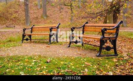 Two park chairs covered with autumn foliage. Elegant steps with decorative metal elements Stock Photo