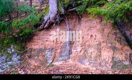 Natural cave in sandstone rock, former bank of Gauja river. Carved wall in Gutmanis cave in Sigulda. Gauja National Park, Latvia. Stock Photo