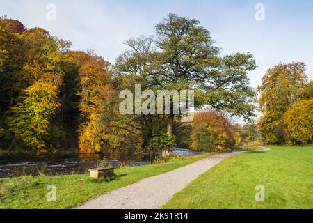 A winding pathway seen alongside the River Wharfe in the autumn of 2022 in the Yorkshire Dales. Stock Photo