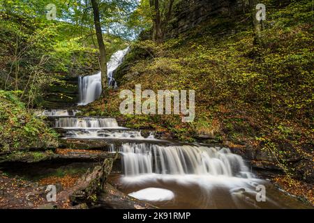 Water plunges down Scaleber Force waterfall and into a pool in Scaleber Wood in autumn of 2022. Stock Photo