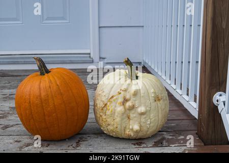 Orange and White pumpkin sitting side by side. The white pumpkin is bumpy and the orange one is smooth. Stock Photo