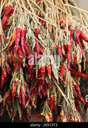 Bunches of many red hot chili peppers for sale on market Stock Photo ...