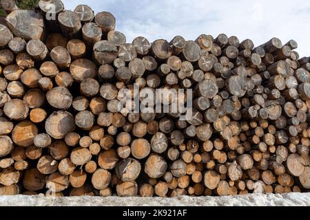 stack of wood, chopped wood logs Stock Photo