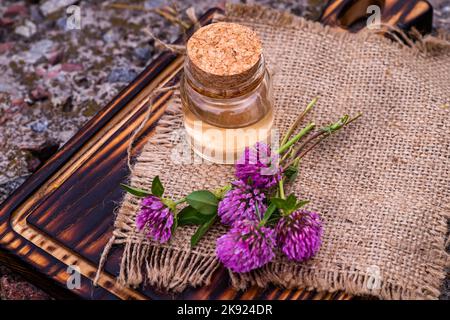 still life with Trifolium pratense, red clover. Collect valuable flowers from moment of flowering, Decoction of clover and infusion in clear bottle Stock Photo