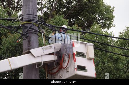 ELECTRICAL TECHNICIAN IN CHERRY PICKER CARRIES OUT MAINTENANCE ON HIGH VOLTAGE POWER LINES IN THE SYDNEY CBD. AUSTRALIA. Stock Photo
