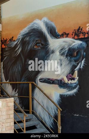 Street Art, Margaret River, WA, Australia Stock Photo