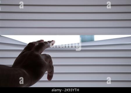 finger on the blinds on the window of the house, look out the window through the blinds from the house Stock Photo