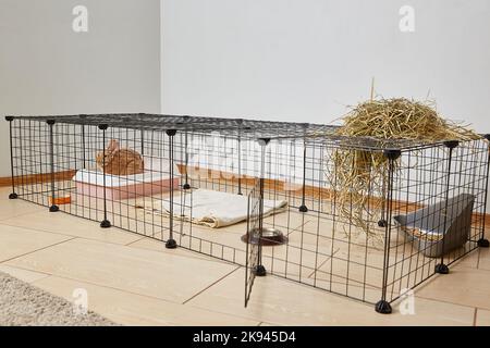 Miniature decorative rabbit in an aviary in the living room of the house. Cute pet Stock Photo