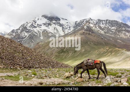 A horse walking in a beautiful Himalayan valley with snow capped mountain peaks in the background in the Zanskar region in Ladakh. Stock Photo