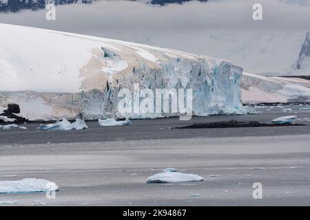 snow algae on ice and snow shoreline of ronge island. errera channel. antarctic peninsula. antarctica Stock Photo