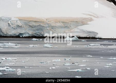 snow algae on ice and snow shoreline of culverville island. errera channel. antarctic peninsula. antarctica Stock Photo