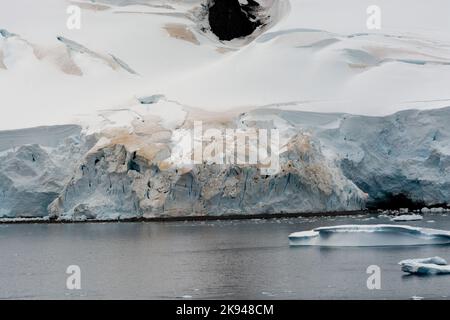 red snow algae in ice and snow on shores of errera channel. antarctic peninsula. antarctica Stock Photo